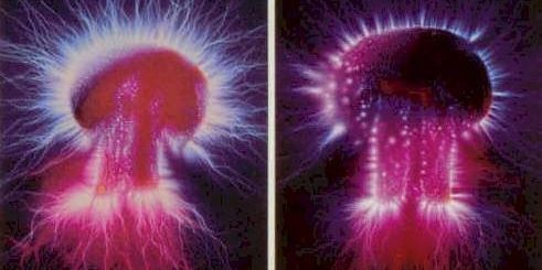 Energy Reiki Harrisburg PA